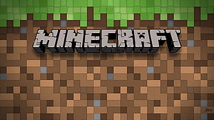 Minecraft game application