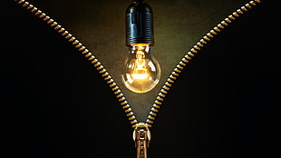 black bulb light, lightbulb, zippers, lights, gold