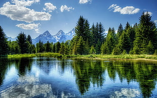 reflective photography of trees and lake, lake, water, sky, reflection HD wallpaper
