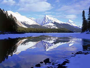 reflection landscape photography of mountain near lake and pine trees during daytime
