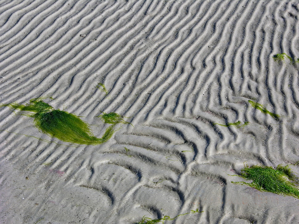 gray sand HD wallpaper