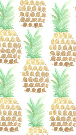 pineapple figure illustration