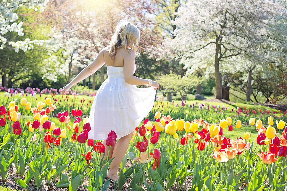 woman wearing white strapless mini dress walking on flowers HD wallpaper