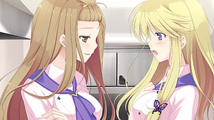 two long blonde haired female anime characters
