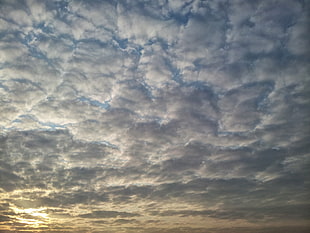 cirrus clouds, clouds HD wallpaper