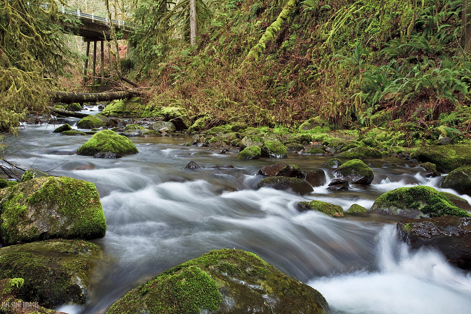 timelapse photo of river, mcdowell HD wallpaper