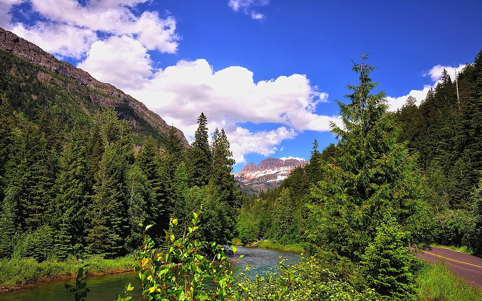 Mountain,  River,  Grass,  Trees HD wallpaper