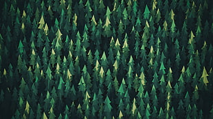 green tree illustration HD wallpaper