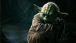 Star Wars Master Yoda digital wallpaper, Yoda, Star Wars HD wallpaper