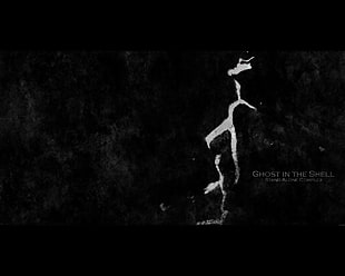 Ghost in the Shell, anime, Ghost in the Shell