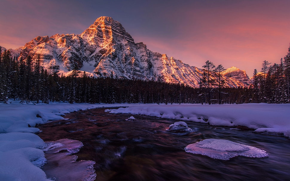 foreste covered with snow, landscape, nature, lake, Alberta HD wallpaper