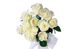 white Rose bouquet