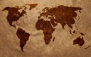 brown and white area rug, globe, map