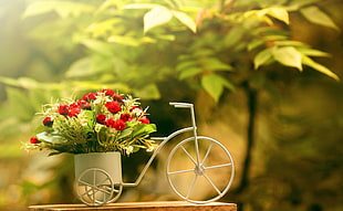 selective photo of tricycle garden pot