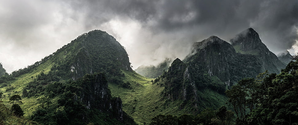 green mountains, landscape, mountains, mist, nature HD wallpaper