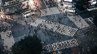 bird's eye view photo of people crossing streets HD wallpaper