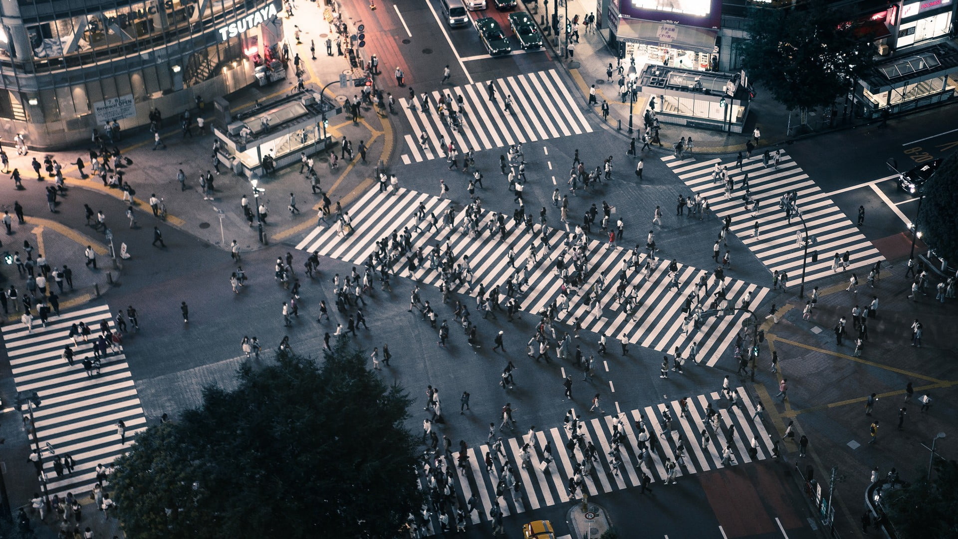 bird's eye view photo of people crossing streets