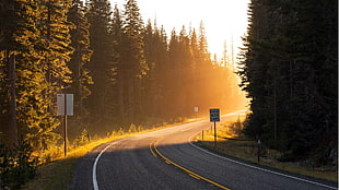 two road signages, road, sunset, landscape, sunlight