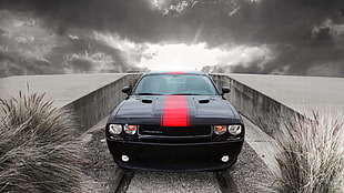 black car, Dodge Challenger, Dodge, car, vehicle
