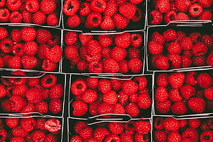red raspberries fruits, Raspberries, Berries, Ripe
