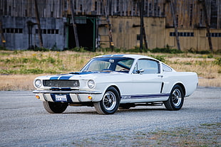 white Ford Mustang coupe on gray asphalt road during daytime