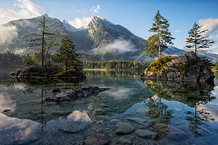 body of water and mountain, landscape, lake, pine trees