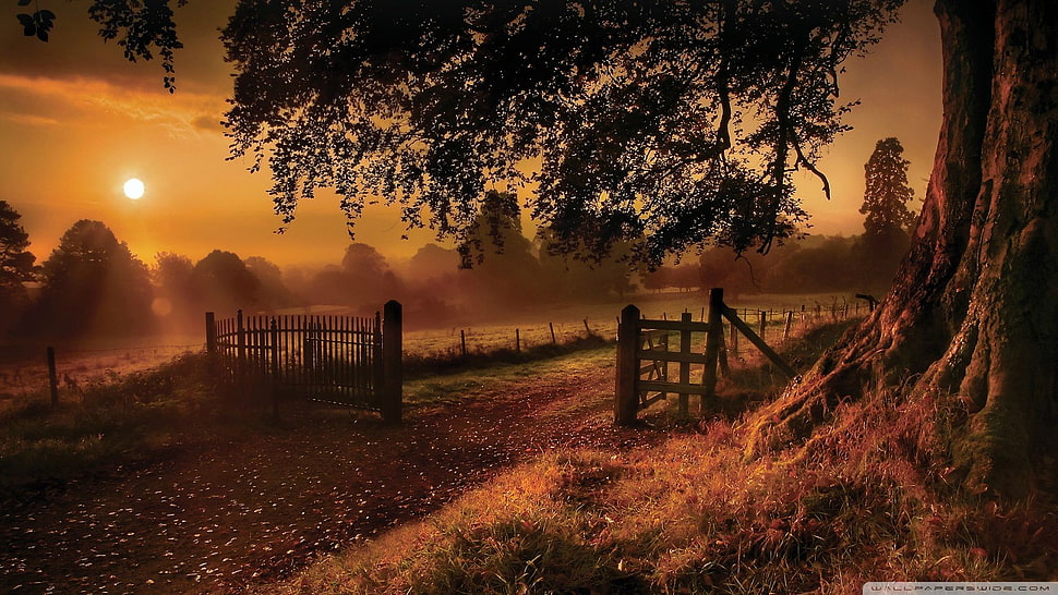 brown wooden gate opened HD wallpaper