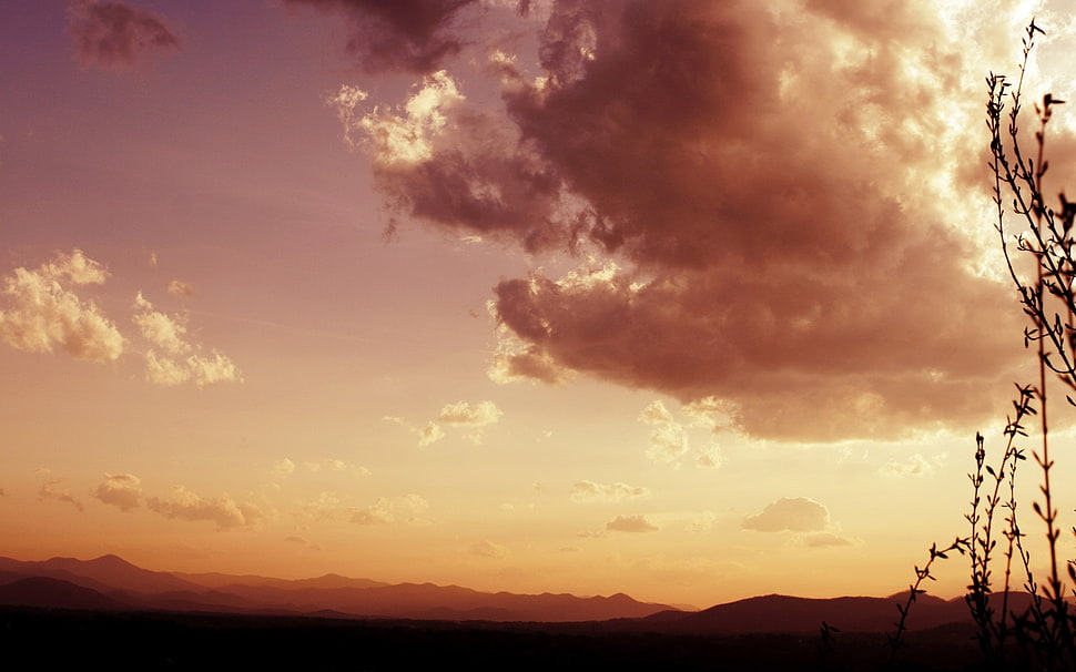 brown sky 3D wallpaper HD wallpaper