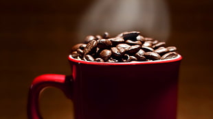 mug of coffee bean, coffee, cup, coffee beans HD wallpaper