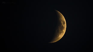 crescent moon, Hungary, Moon HD wallpaper
