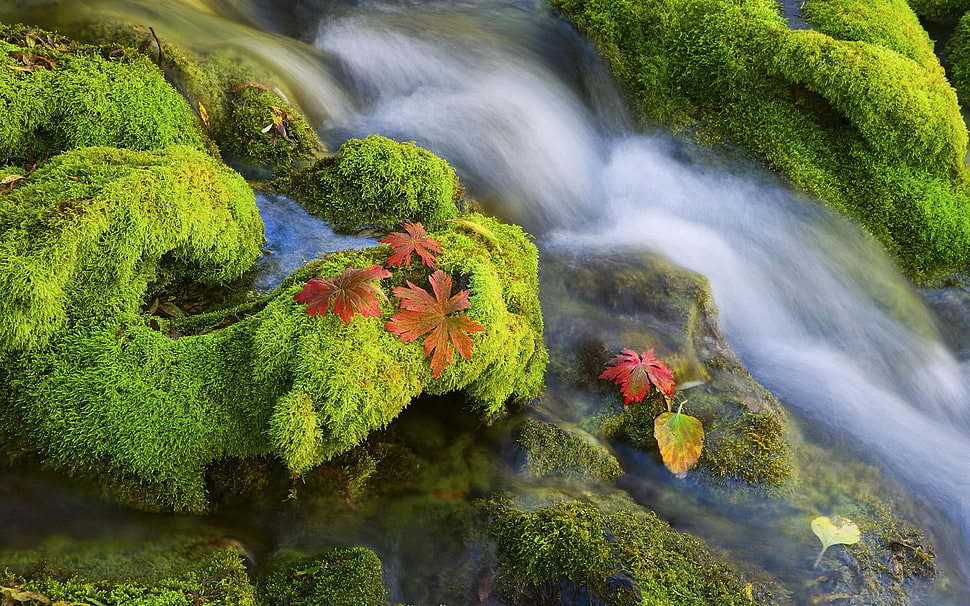 water falls HD wallpaper