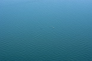 ocean water, nature HD wallpaper