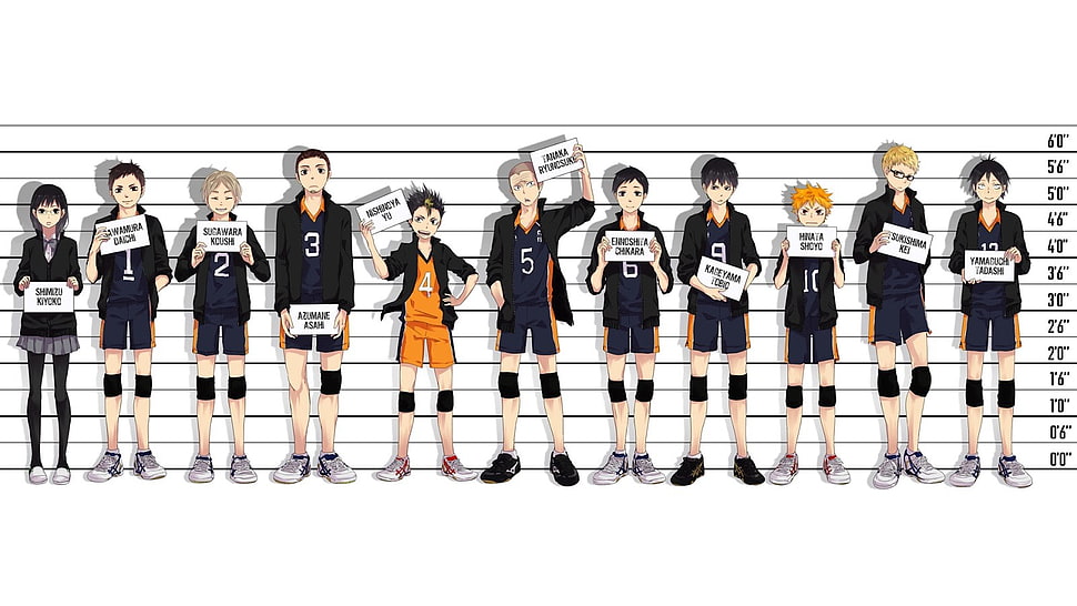 anime characters posing for mug shot digital wallpaper, Haikyuu, Haikyuu!! HD wallpaper