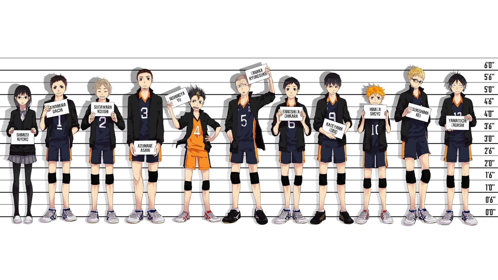 anime characters posing for mug shot digital wallpaper, Haikyuu, Haikyuu!!