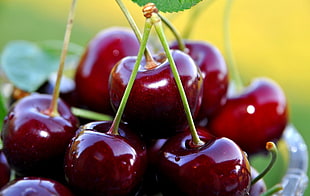 Cherries in macro shot photography