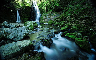 view of waterfalls and rocks HD wallpaper