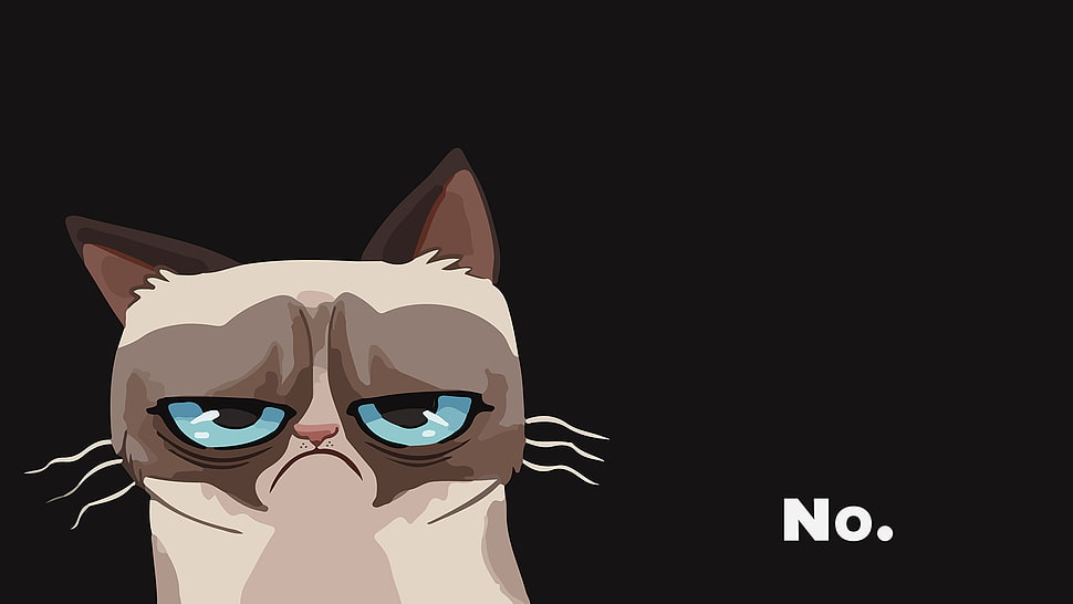 illustration of grumpy cat HD wallpaper