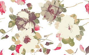 painting of white, red, and gray flowers