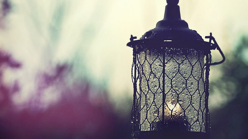 black candle lantern, lantern HD wallpaper