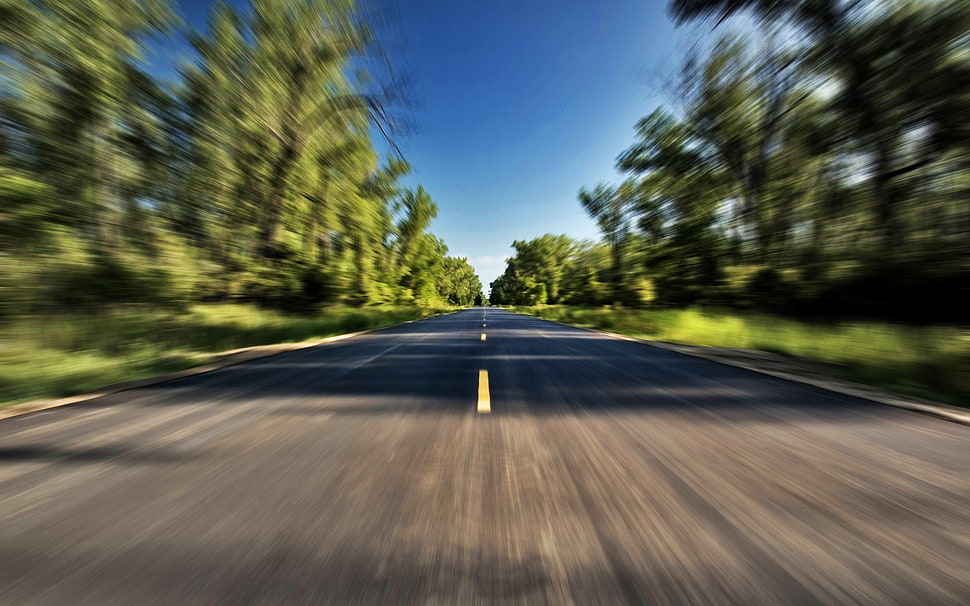 gray asphalt road, road, trees, forest, landscape HD wallpaper