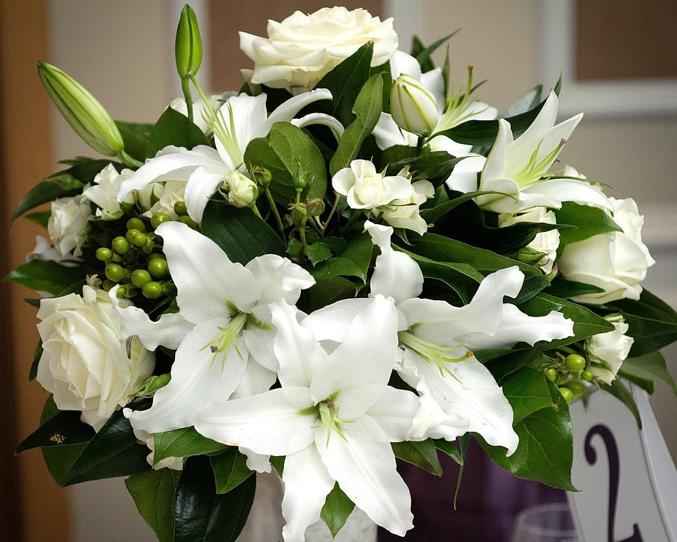 white bouquet of flowers HD wallpaper