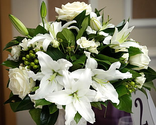 white bouquet of flowers