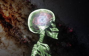 person skull illustration, space, nebula, colorful, x-rays