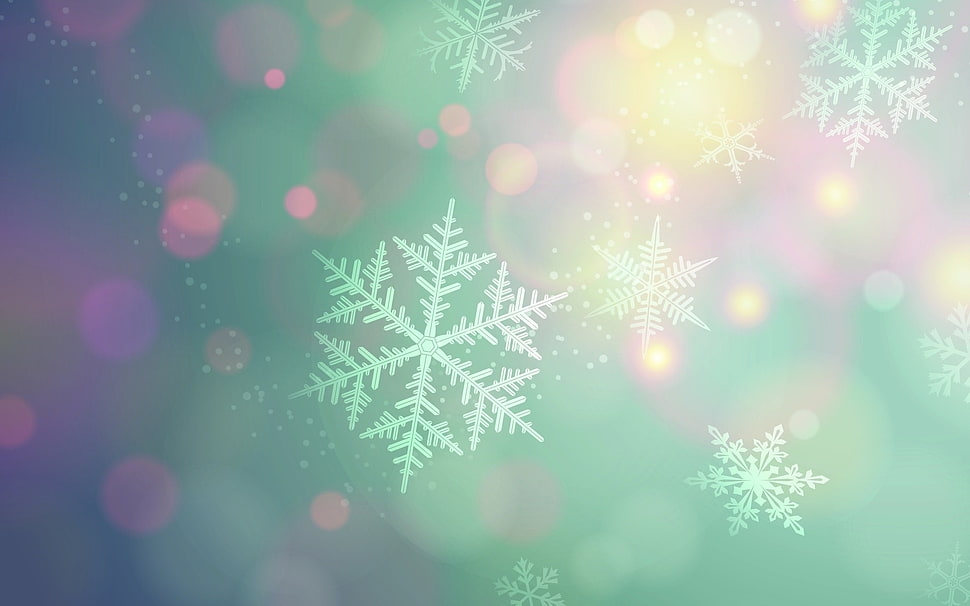 snowflakes illustration HD wallpaper