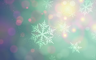 snowflakes illustration HD wallpaper