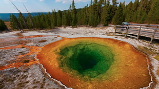 Yellowstone National Park, USA, nature, Yellowstone National Park