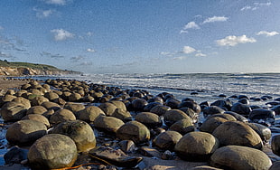 rocks beside seashore during daytime HD wallpaper