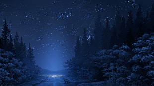 light in the middle of the forest during nightime wallpaper