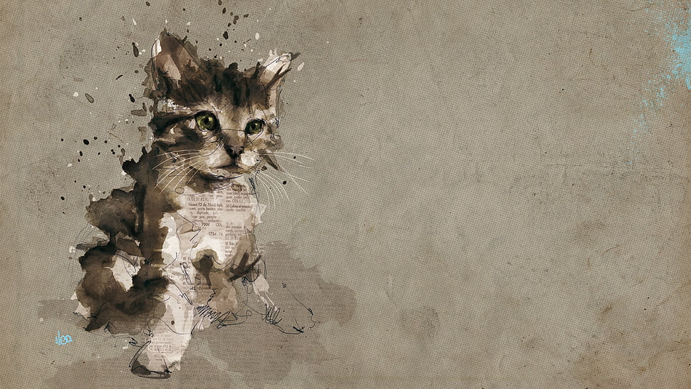 brown kitten poster on wall HD wallpaper
