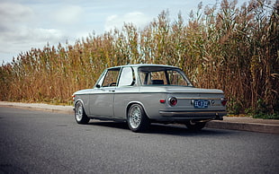 classic gray coupe, car, BMW 2002, BMW
